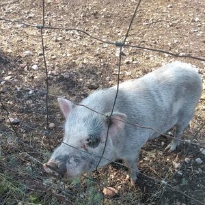 Meet your Posher, Timothy